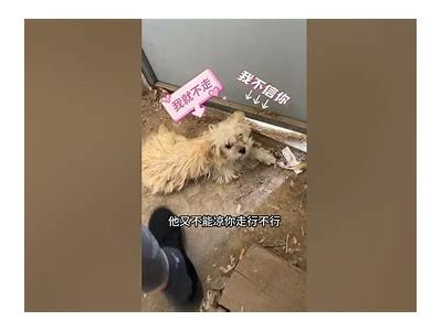 在线观看真实农场生活中的处女流血情节电影，带你体验不一样的故事。